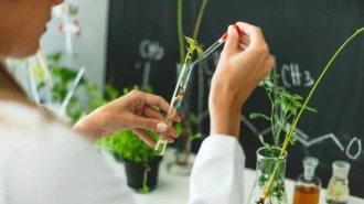 Agriculture & Agrochemicals